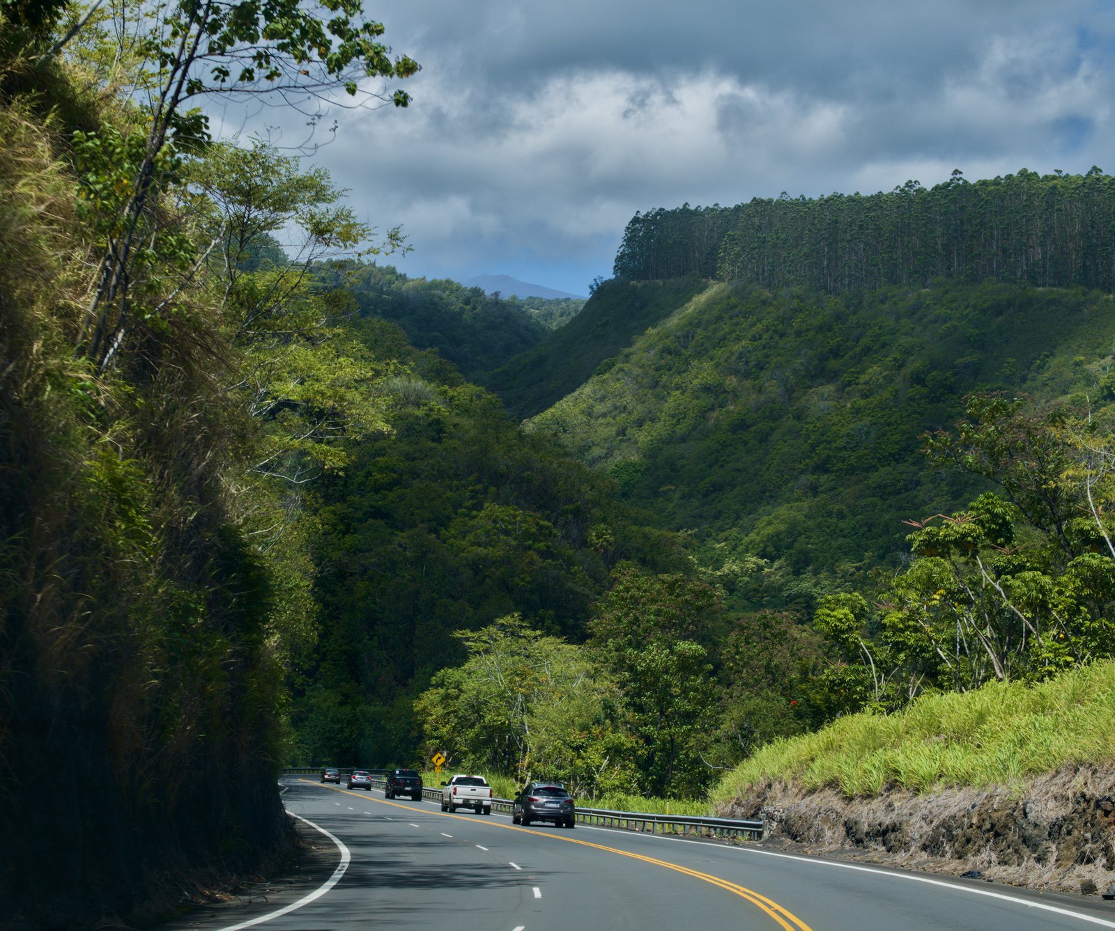 Hamakua road trip
