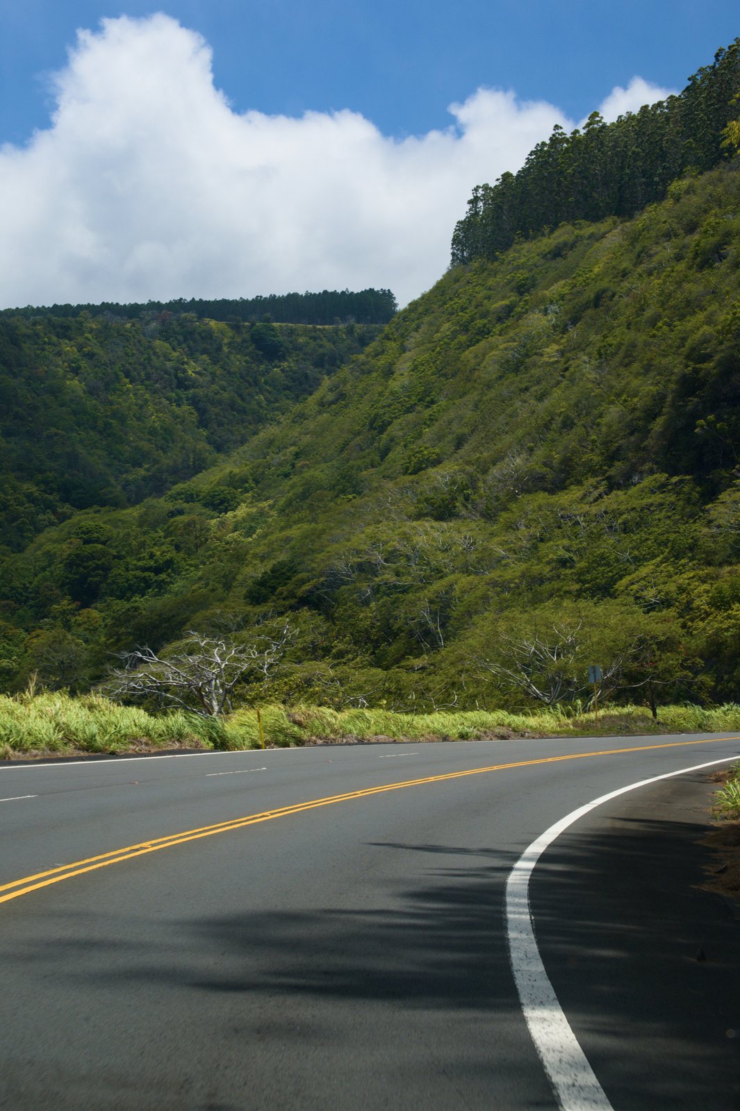 Hamakua road trip