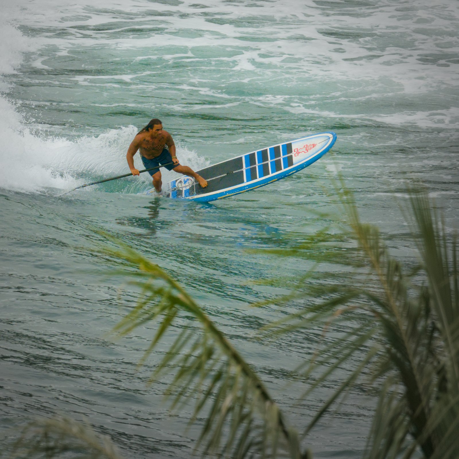 Surfer at Honolii