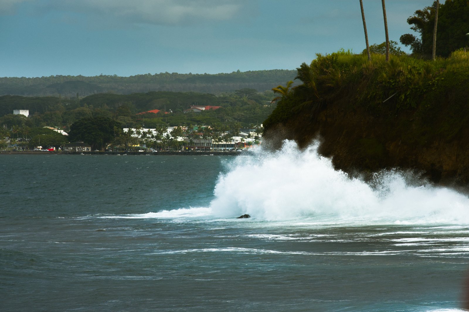 Wave with Hilo in the background