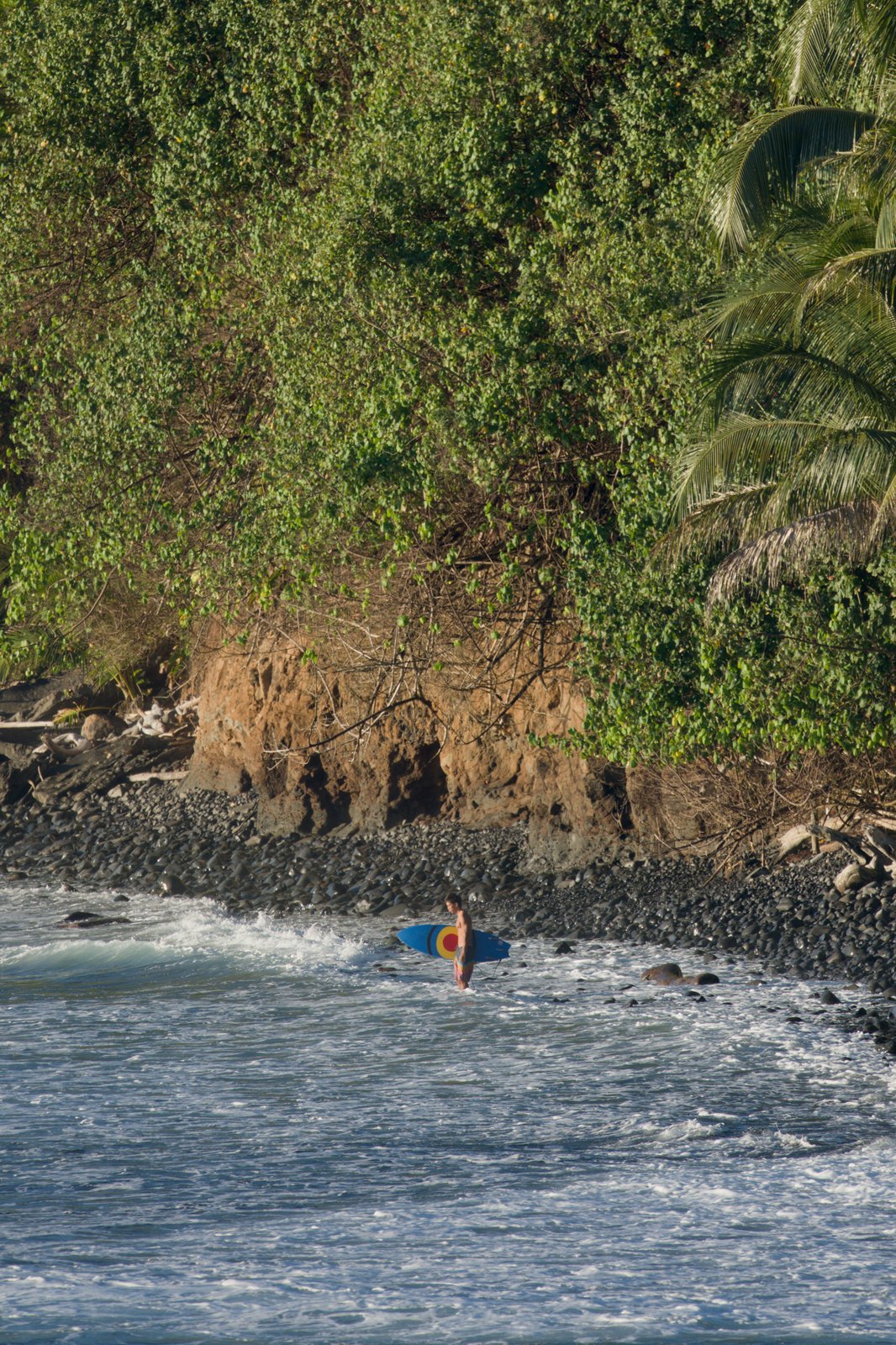 Surfers at Honolii