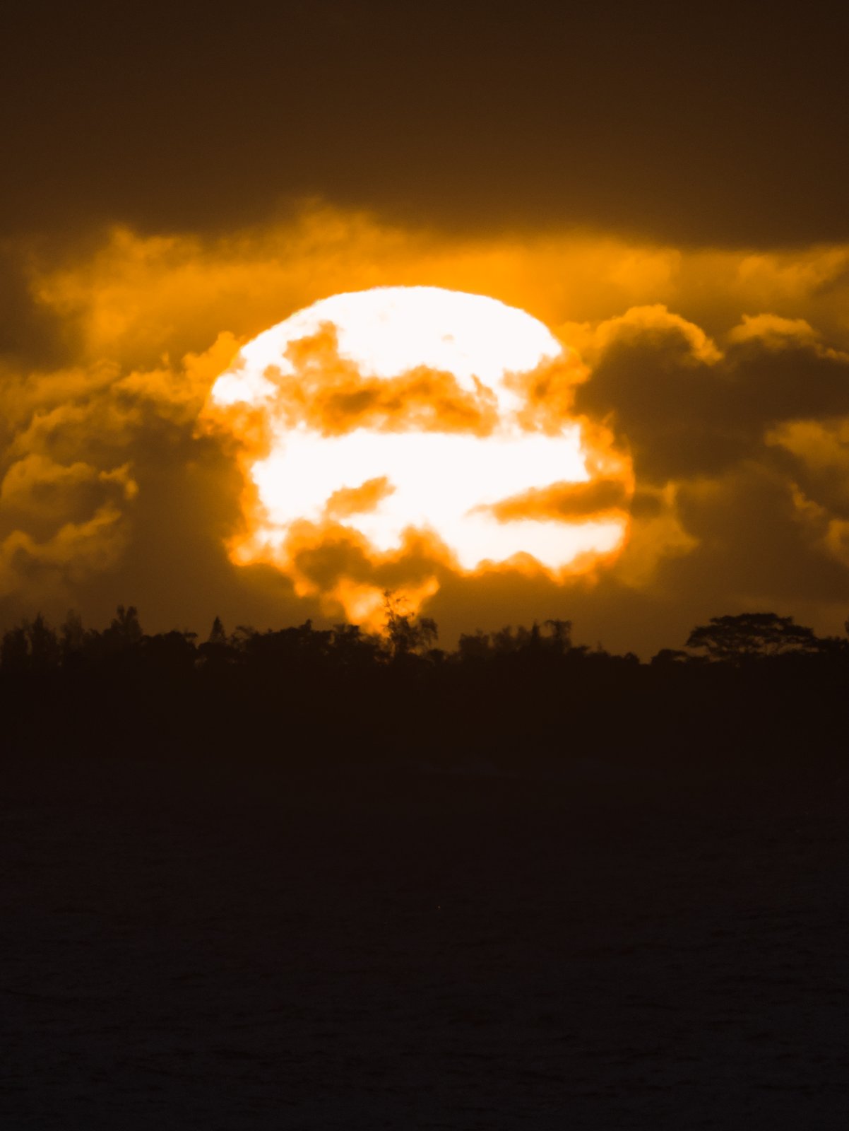 Sunrise on Big Wave Day