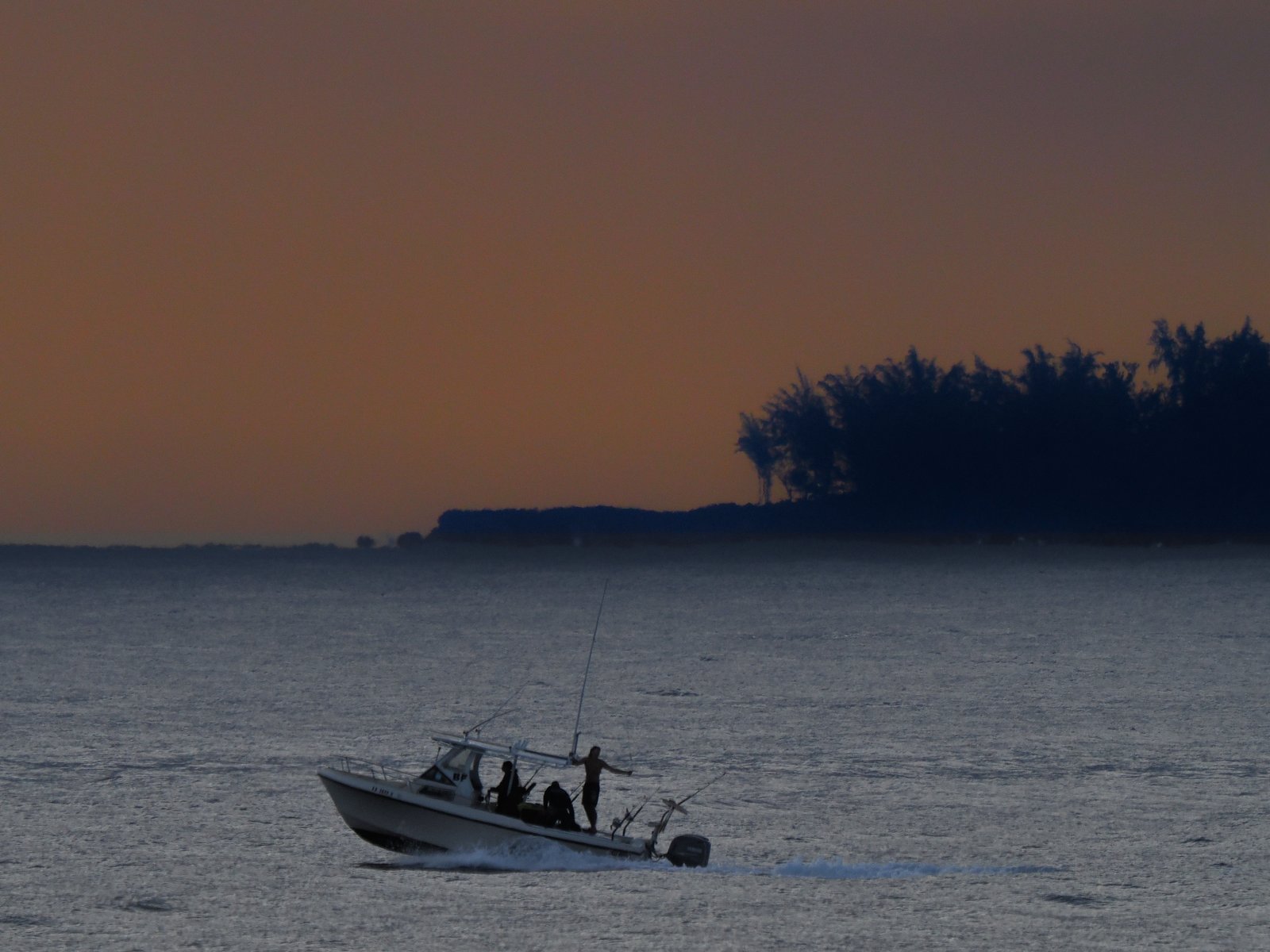 Crew Silhouette