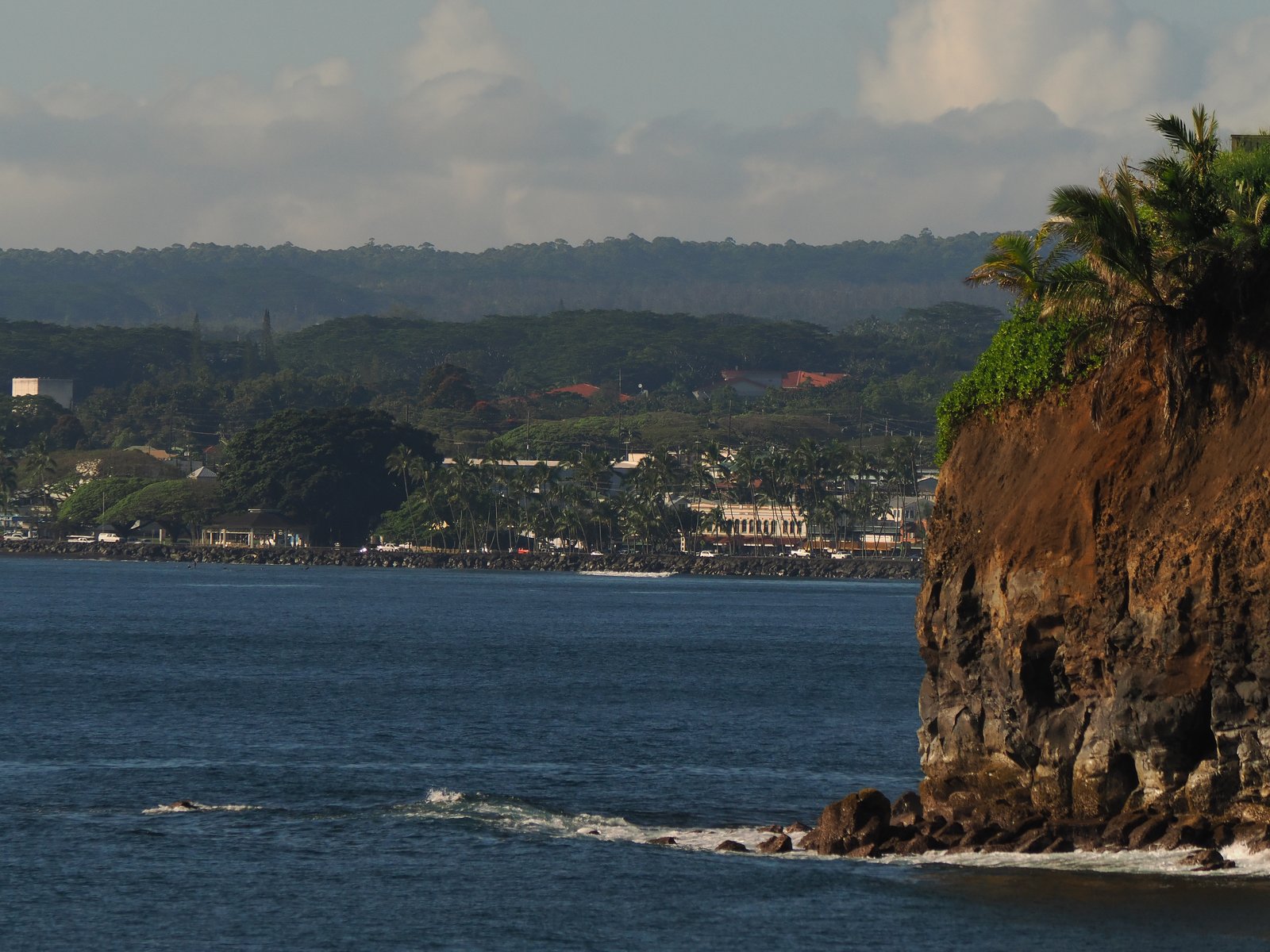 Sunny Hilo