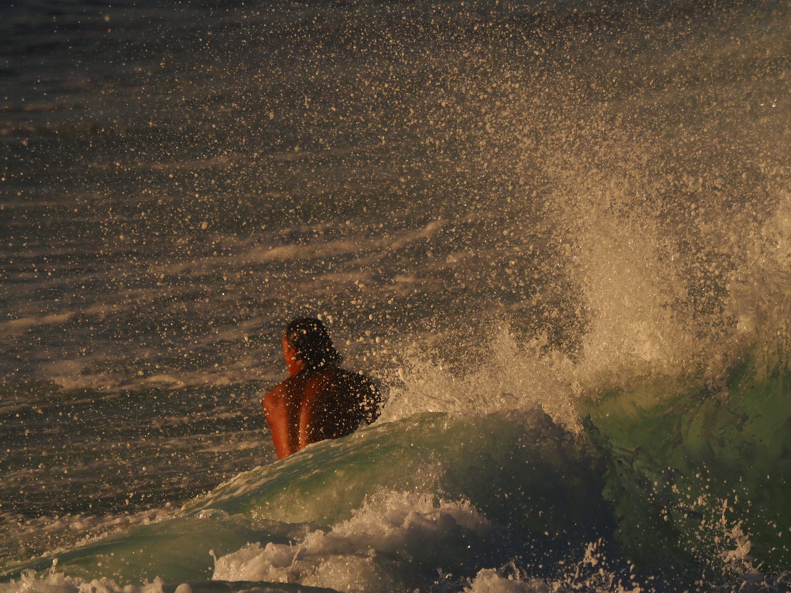 Splash