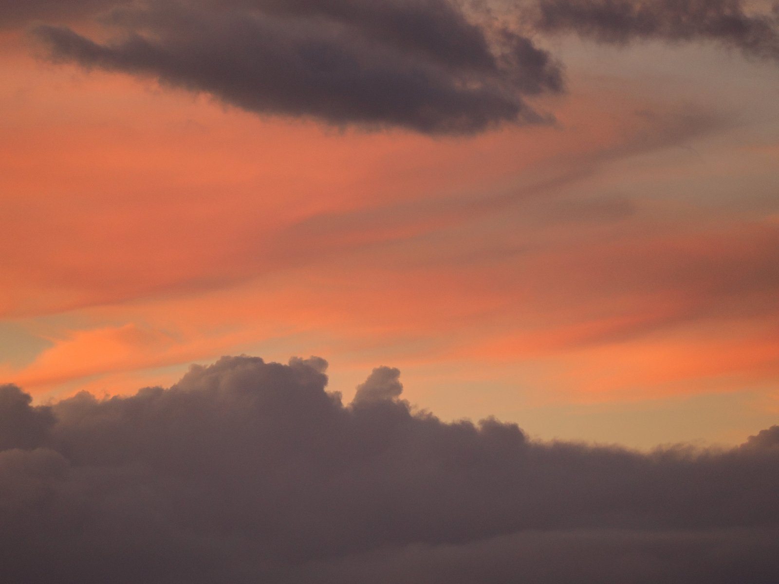 Untitled 2026-09-08
